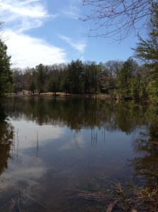 2237 steps from camper door