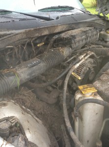 Engine Compartment