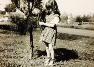 Alison Wonder Tree Caring