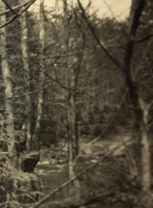 Healing Tool close up after