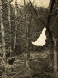 Healing Tool close up before