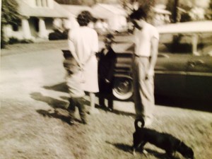 Sunday Afternoon on Gilbert Ave